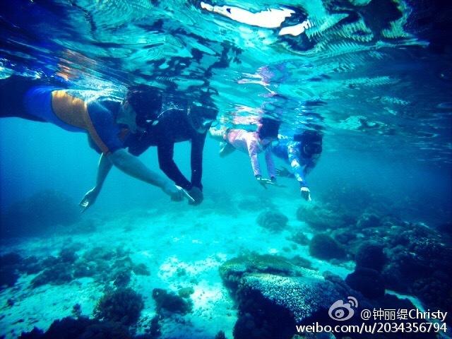 当“尔滨”火了，北极熊也开始营业整活！
